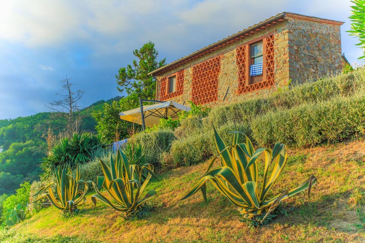 Tenuta San Pietro Luxury Hotel Лука Екстериор снимка